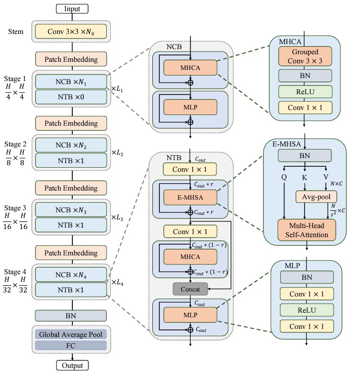 Network Architecture image from the paper