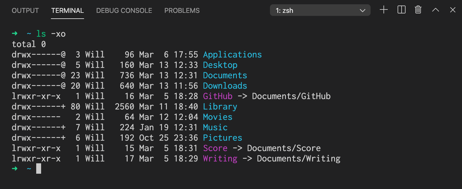 Terminal Monokai Blurred Theme in VSCode