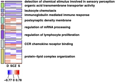 A heatmap showing the relative enrichment scores of pathways