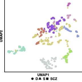 A UMAP plot showing clustering of themes