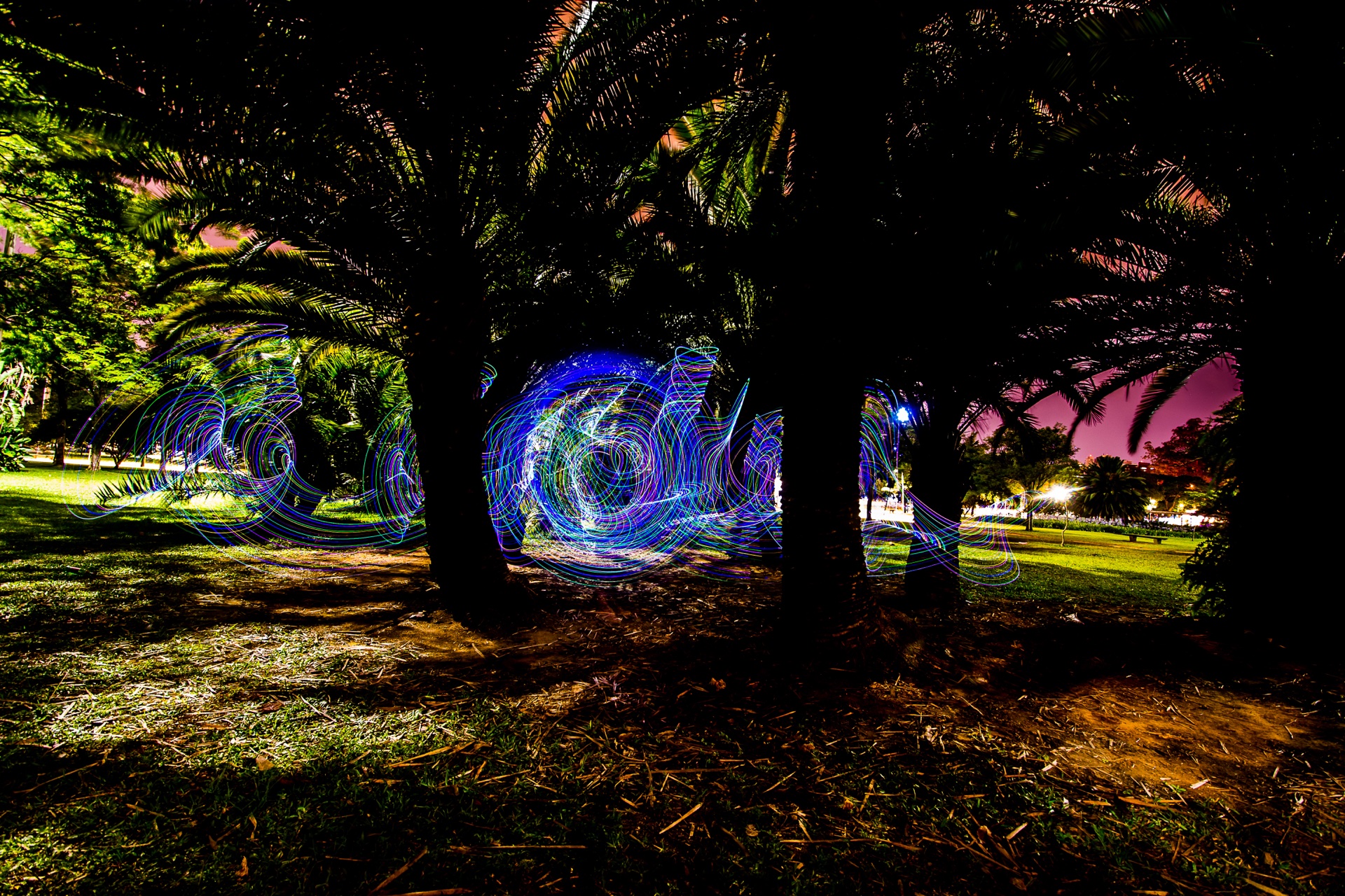 Jardim Noturno