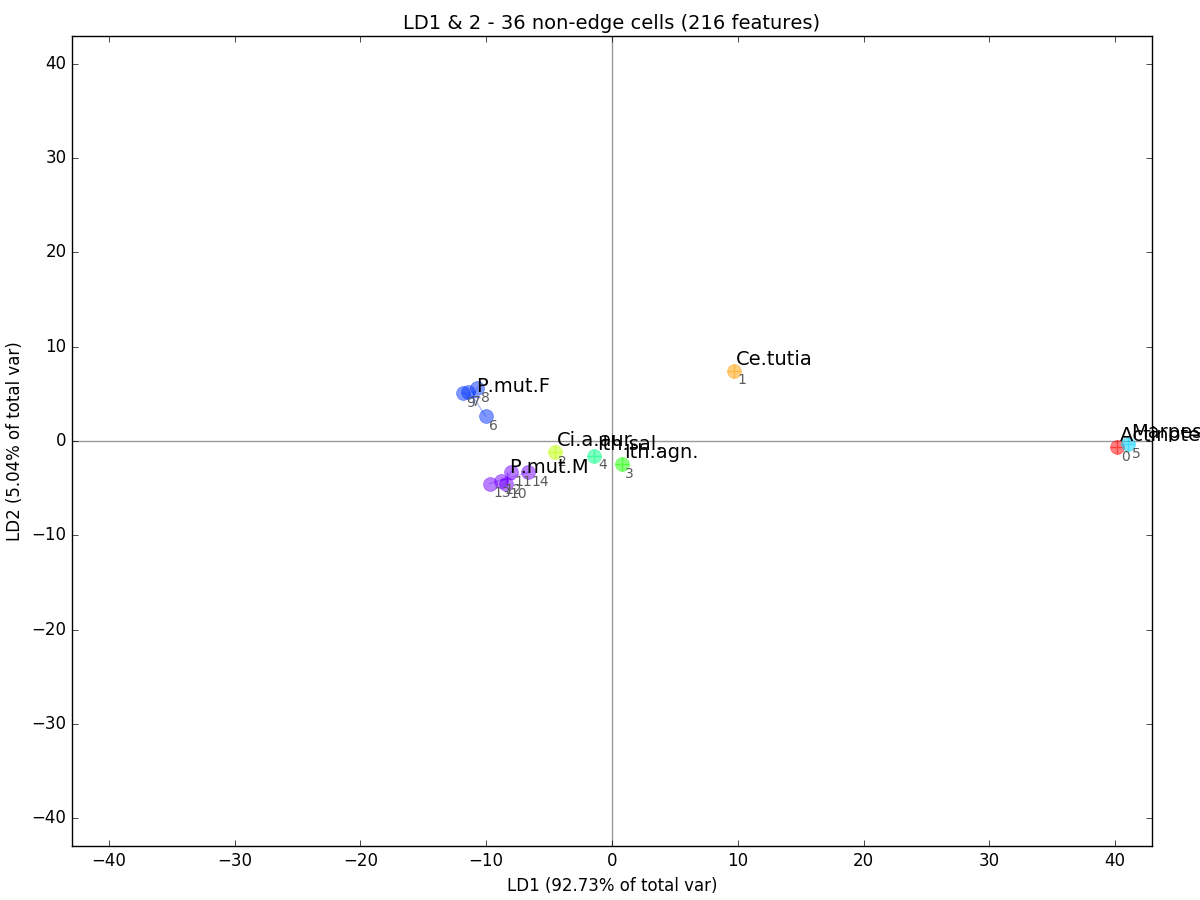 LDA plot