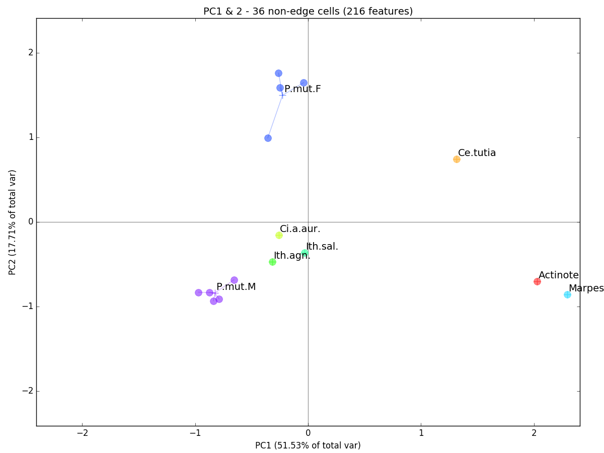 PCA plot