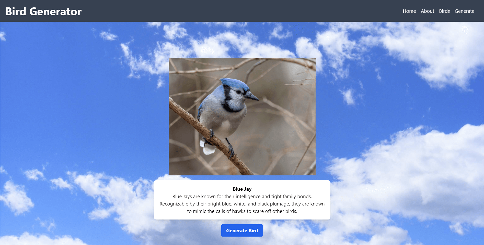 Bird Generator App