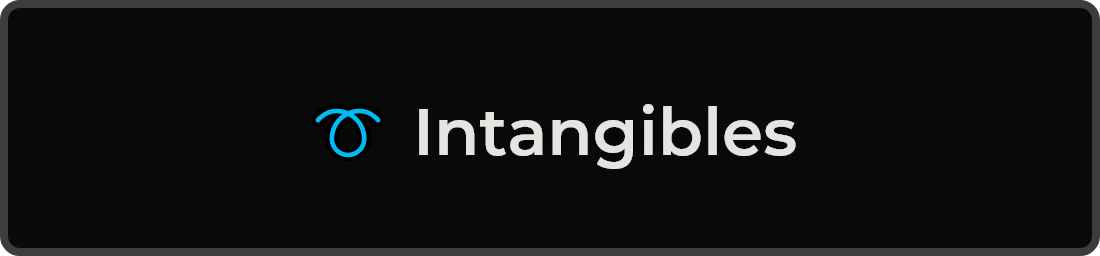 ➰ Intangibles