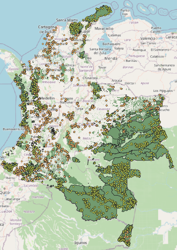 Mapa de Plantas Útiles – Componente 5