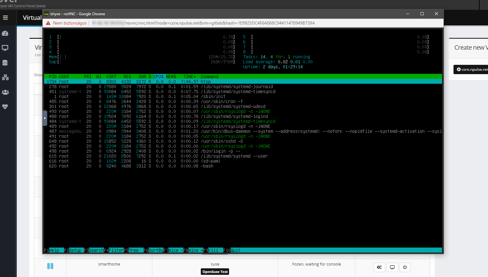 Running Linux VM