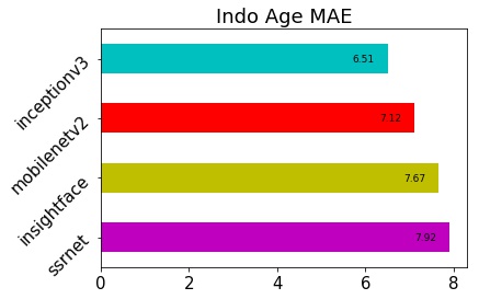 Indonesia Age MAE
