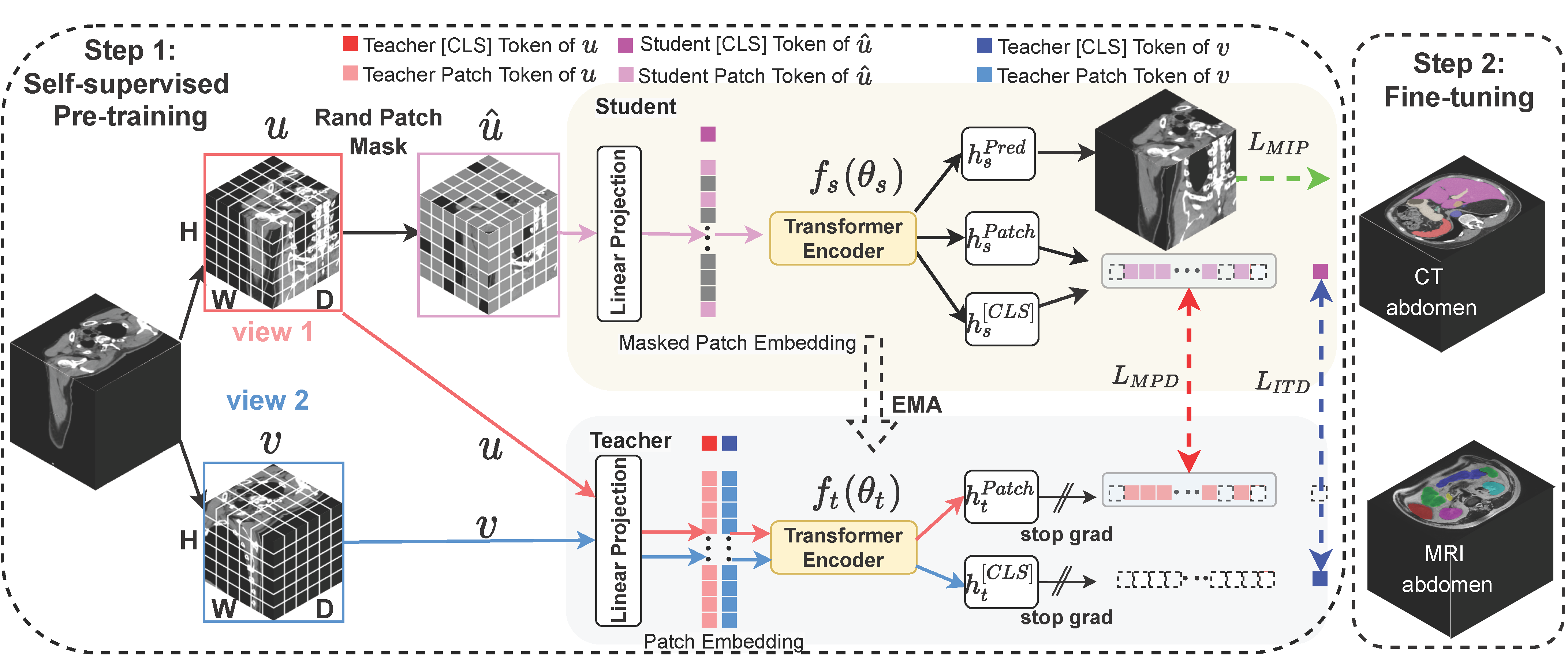 SMIT framework