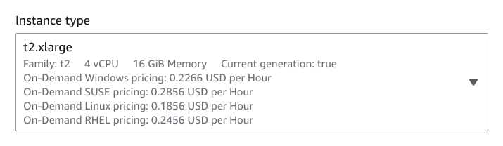 custom-runner-aws-instance-2