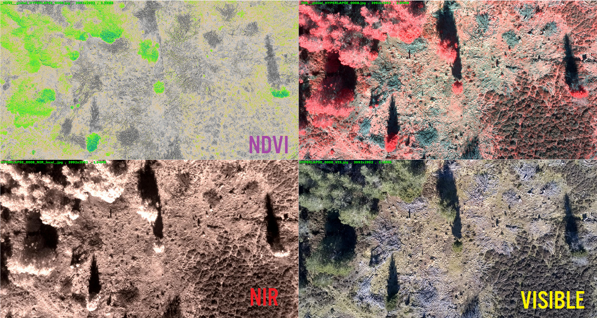 Fused results visible and NIR to provided NDVI for instance