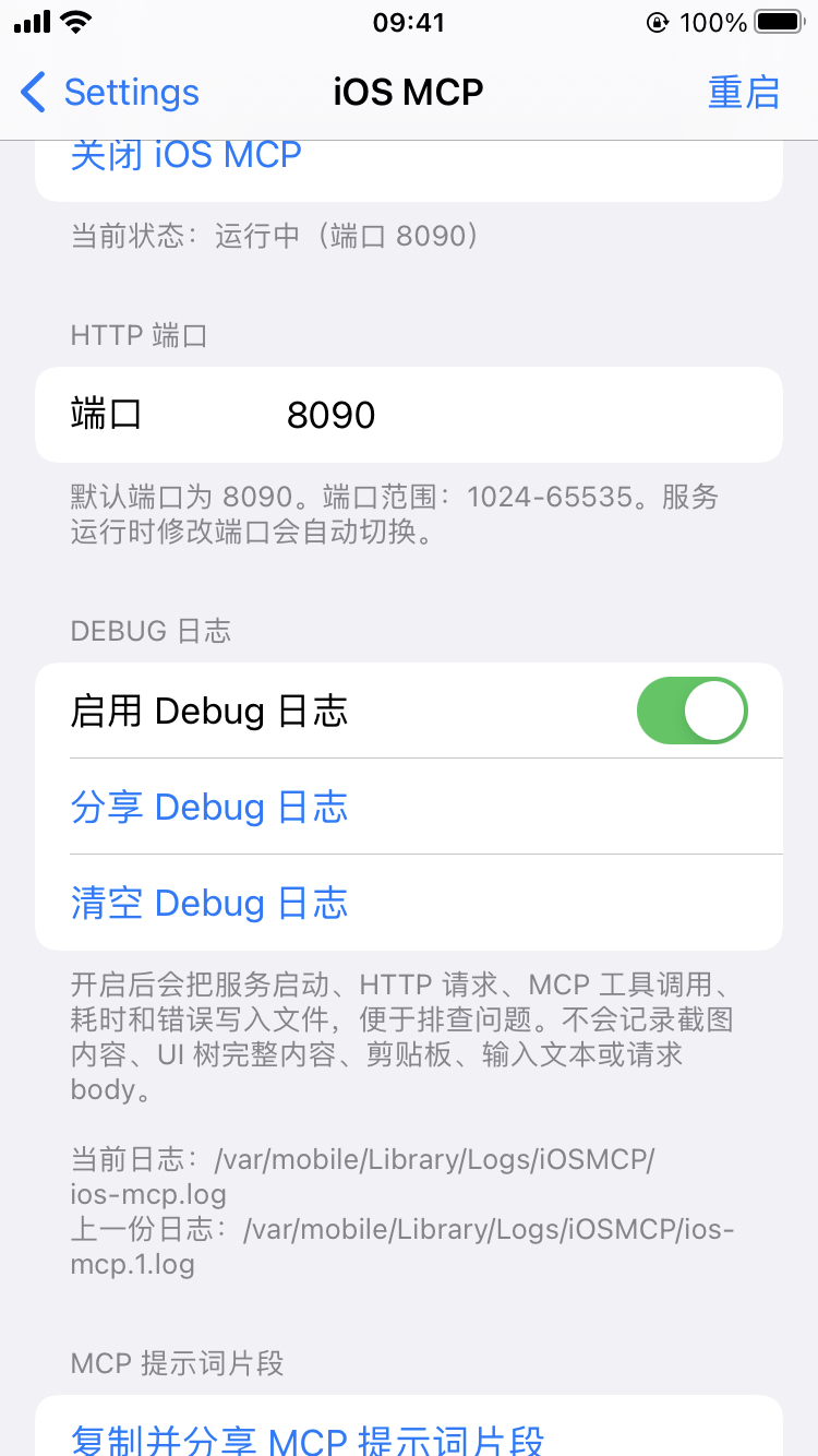 iOS MCP 设置