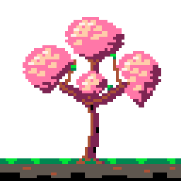 The tree, 4× of Cherry tree from seed to bloom