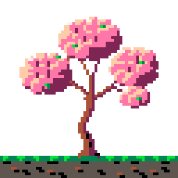 The tree, 4× of Cherry tree from seed to bloom