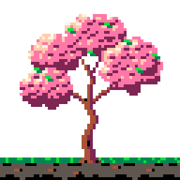 The tree, 4× of Cherry tree from seed to bloom (grid)