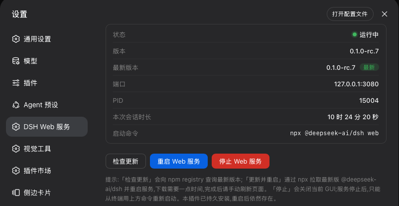 DSH Web 服务 设置面板 | DSH web service settings panel
