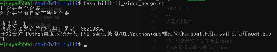 bilibili_video_merge_02