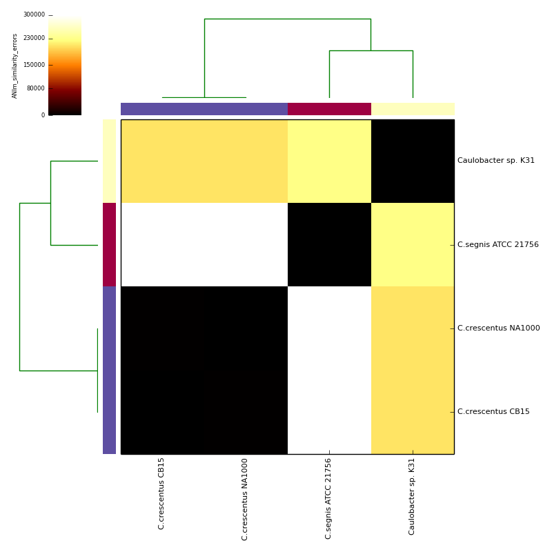 ANIm alignment similarity errors for Caulobacter test data