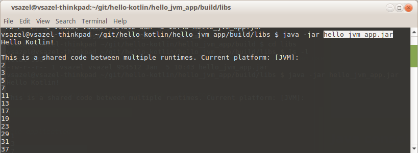 Hello JVM