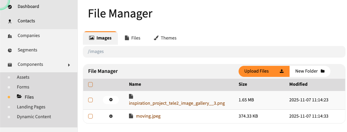 Mautic File Manager showing the file browser interface with Images, Files, and Themes tabs