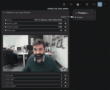 Webcam Live Input Stream