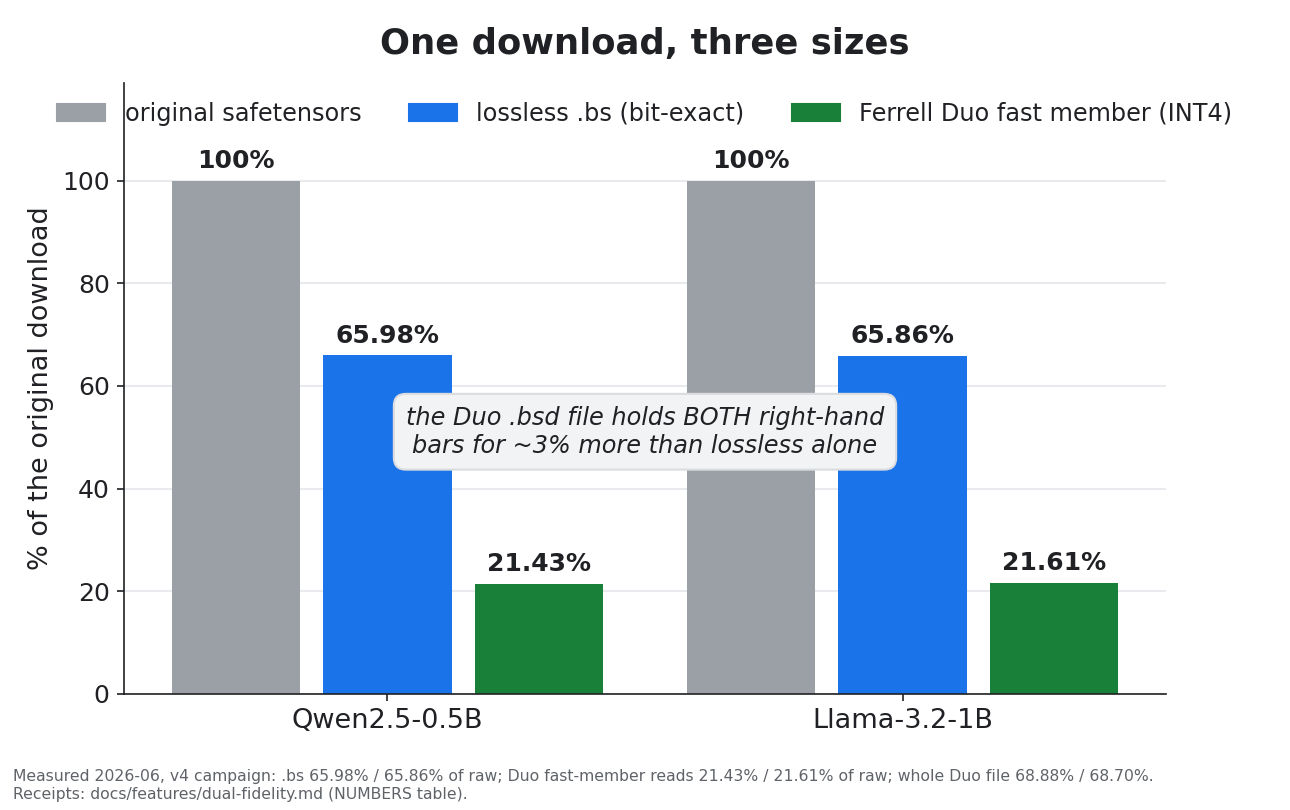 Bar chart: one download, three sizes — the original is 100%, the lossless .bs is about 66%, and the Ferrell Duo fast member reads about 21.5%; the Duo file holds both for about 3% more than lossless alone