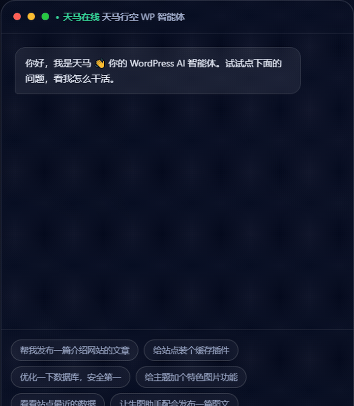 天马行空 WP 智能体演示