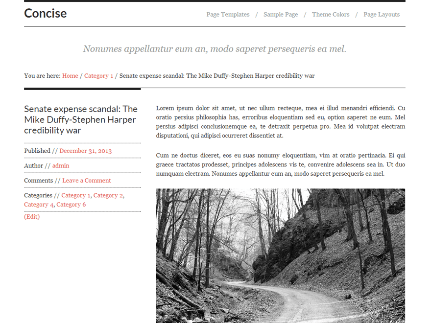 GitHub - wpspeak/concise: Concise Theme