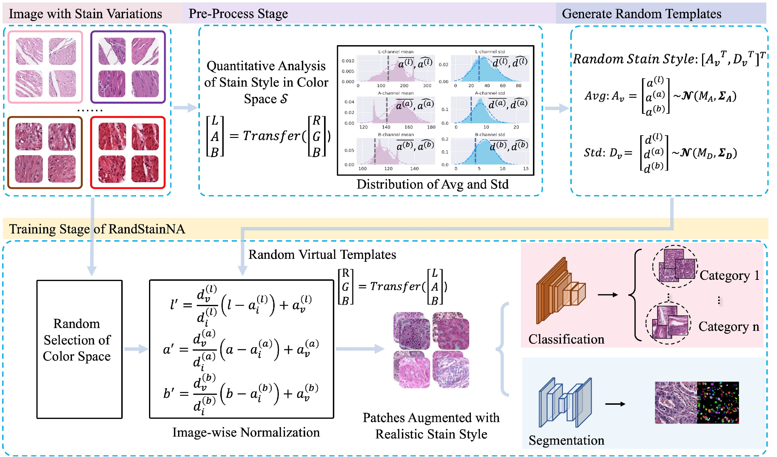 The overall pipeline of the proposed RandStainNA that fuses stain normalization and stain augmentation.