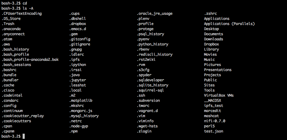 Bash output of test change directory and list commands