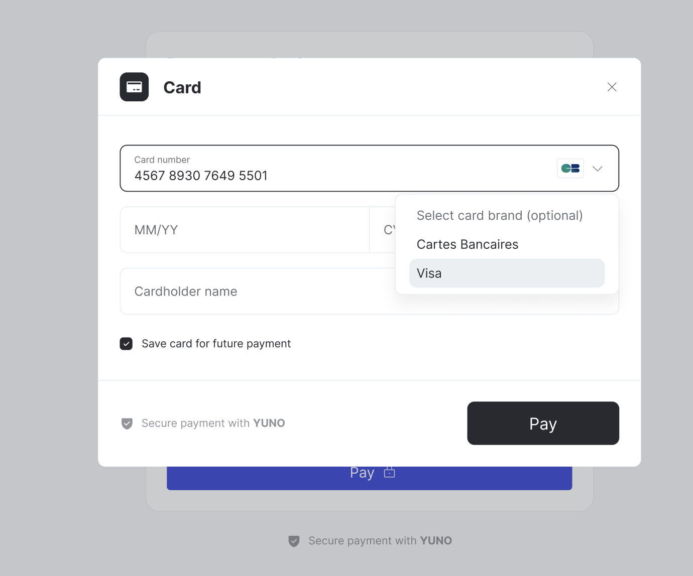 Co-badged Cards Network Selection UI