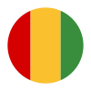 Guinea-flag