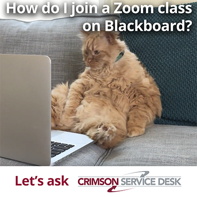 Joining a Blackboard class via Zoom?