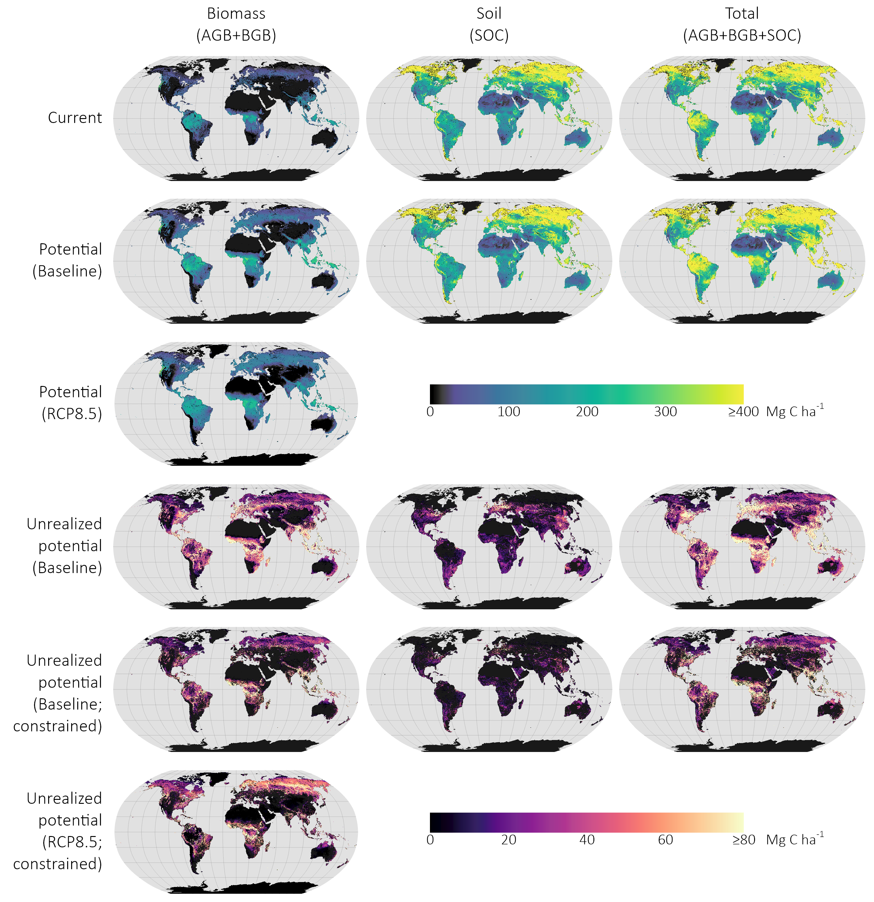 Global maps of carbon storage from Walker et al. (2022).