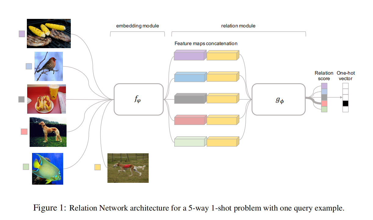 Relation Network