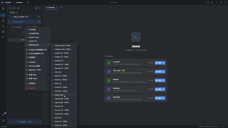 Provider profiles and Codex launch configuration in CC-Panes