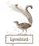 Lyrebird logo
