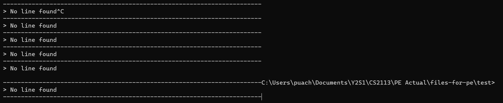 Other weird outputs when exiting the application with control + c ...