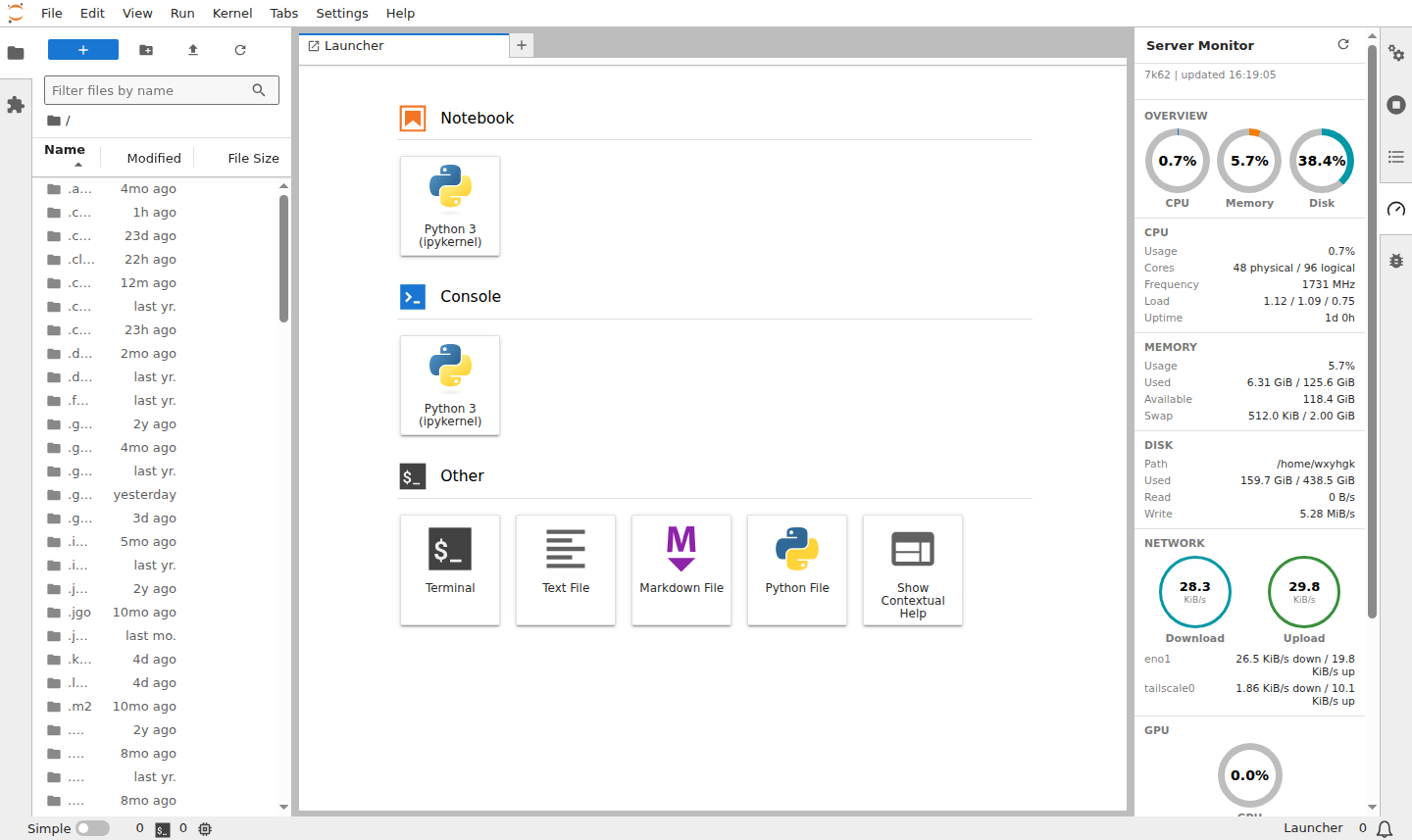 JupyterLab Server Monitor 界面