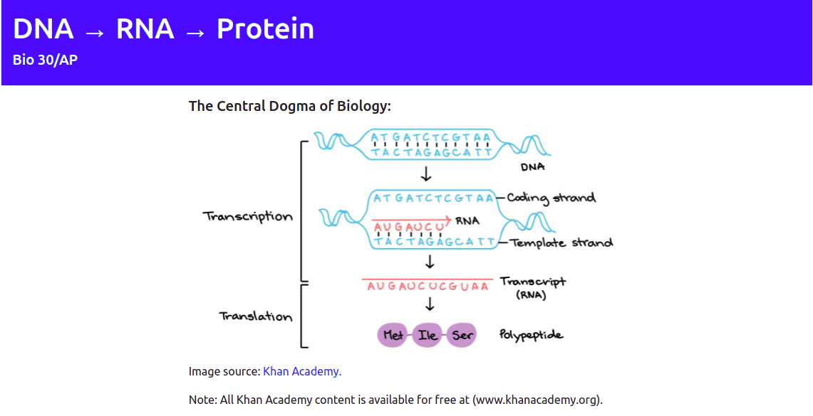 Central Dogma of Biology