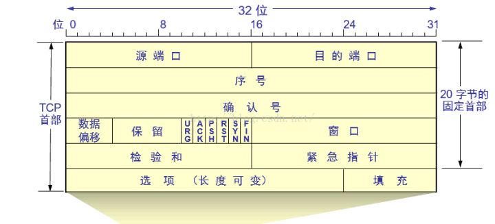 TCP-structure