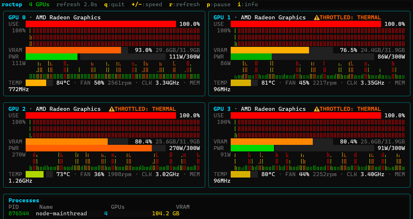 roctop metrics view