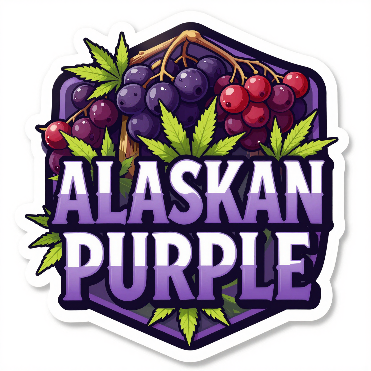 Alaskan Purple cannabis strain