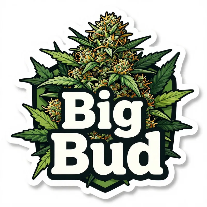 Big Bud cannabis strain