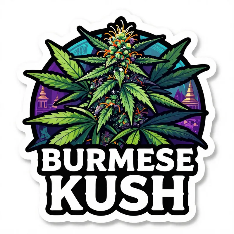 Burmese Kush cannabis strain