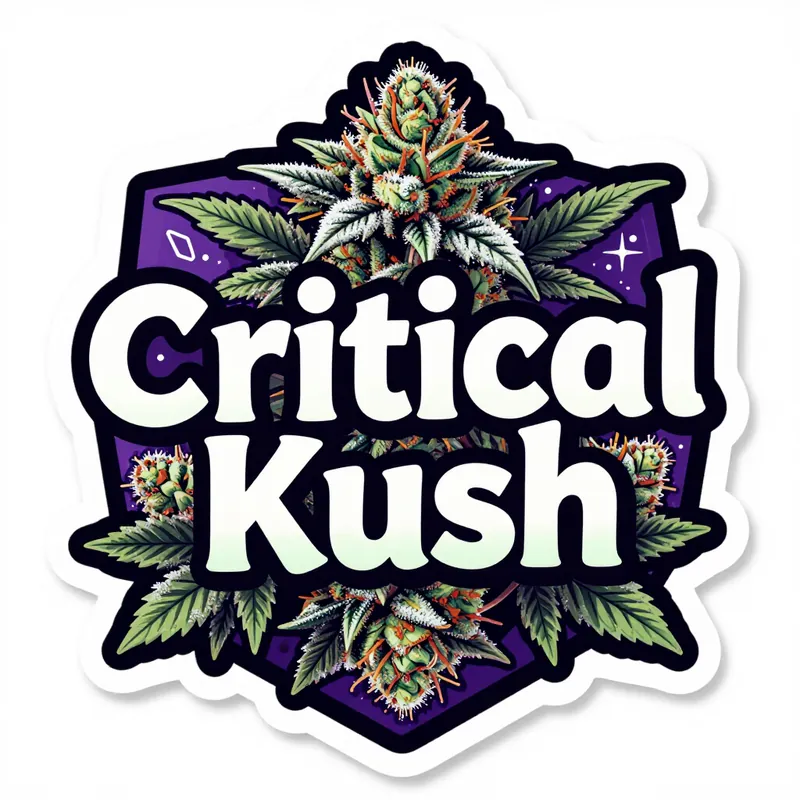 Critical Kush cannabis strain