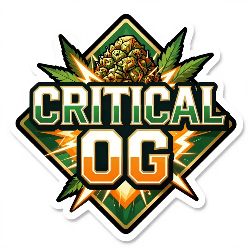 Critical OG cannabis strain