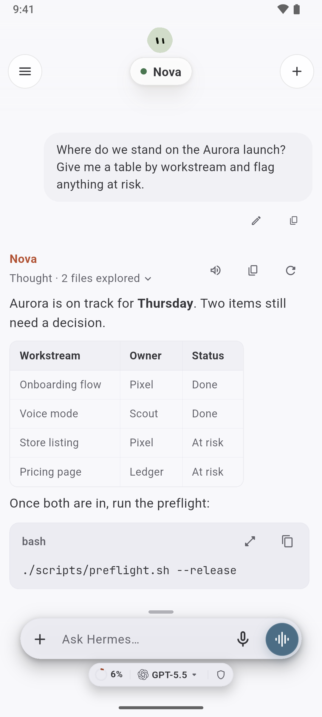 A chat in the light theme