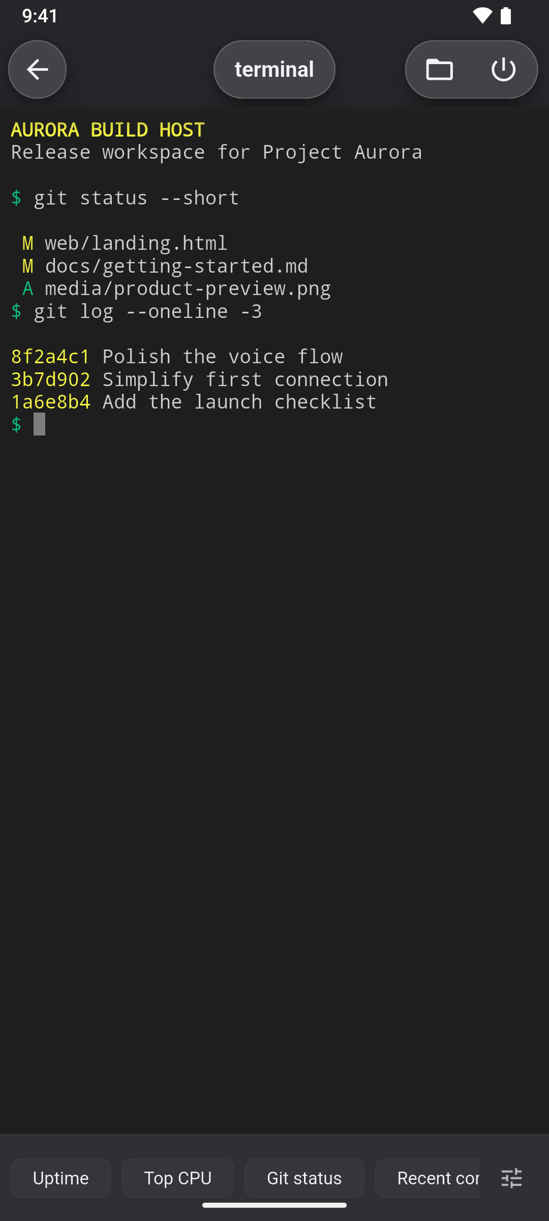 The SSH terminal