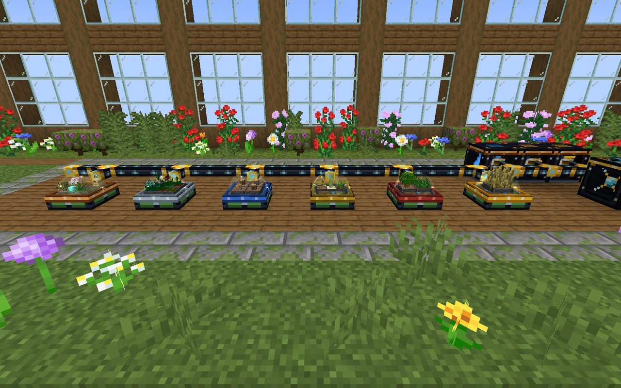 All six star tiers of the Growth Calculator in a greenhouse